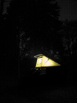 SX18157 Campervan in forrest at night.jpg